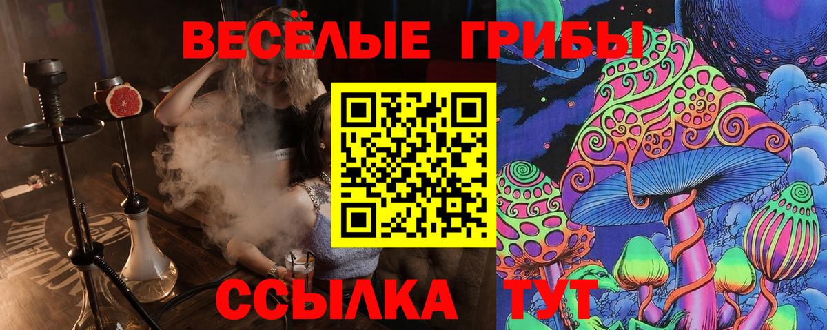 Галлюциногенные грибы MAGIC MUSHROOMS Карталы
