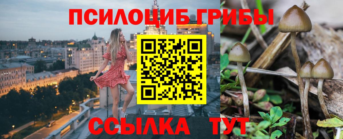 Псилоцибиновые грибы Psilocybine cubensis  Вход с VPN  Карталы 
